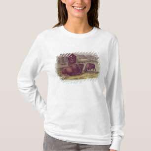 American Bison of Buffalo T-shirt