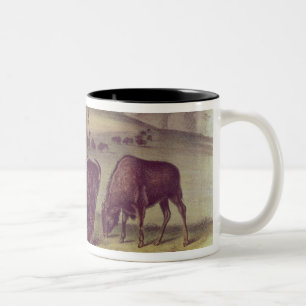 American Bison of Buffalo Tweekleurige Koffiemok