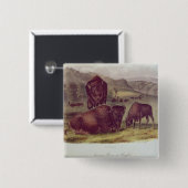 American Bison of Buffalo Vierkante Button 5,1 Cm (Voorkant /achterkant)
