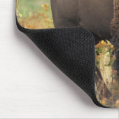 American Bison op het bereik Muismat (Hoek)