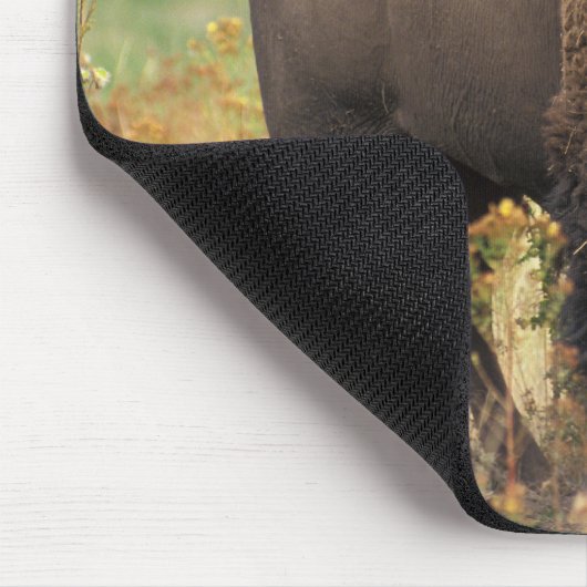 American Bison op het bereik Muismat (Hoek)