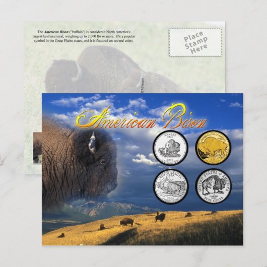 American Bison op munten Briefkaart (Voorkant / Achterkant)