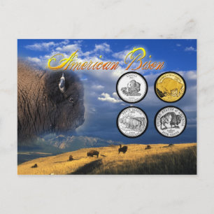 American Bison op munten Briefkaart