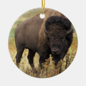 American Bison Ornament (Voorkant)