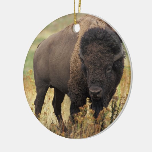 American Bison Ornament (Links)