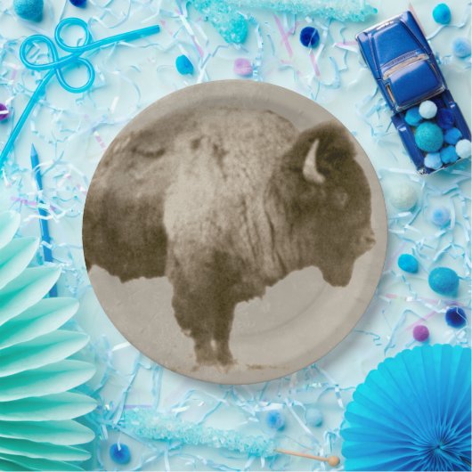 American Bison. Papieren Bordje (Feest)