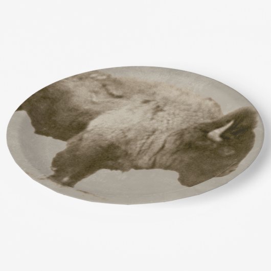 American Bison. Papieren Bordje (Gekanteld)