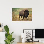 American Bison Poster (Thuiskantoor)