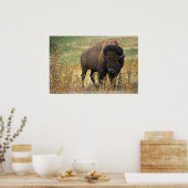 American Bison Poster (Keuken)