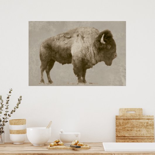 American Bison Poster (Keuken)