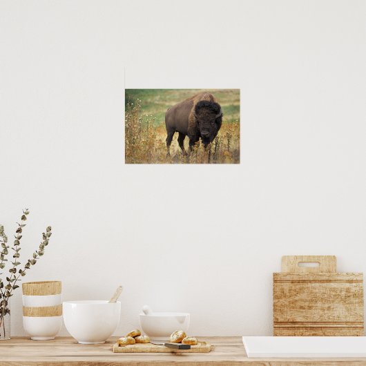 American Bison Poster (Keuken)