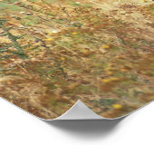 American Bison Poster (Hoek)