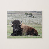 American Bison Puzzle Legpuzzel (Horizontaal)