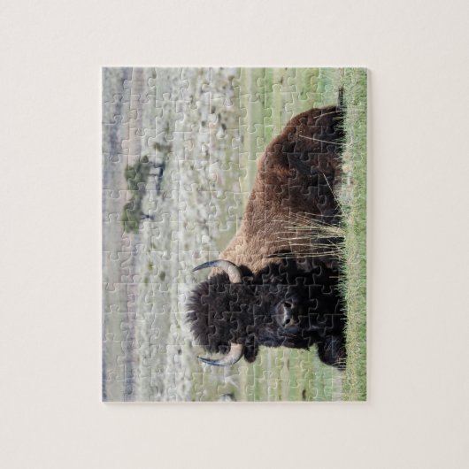 American Bison Puzzle Legpuzzel (Verticaal)