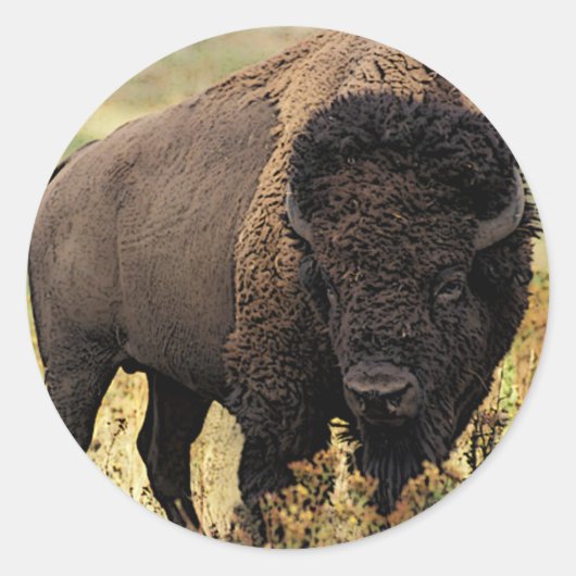American Bison Ronde Sticker (Voorkant)