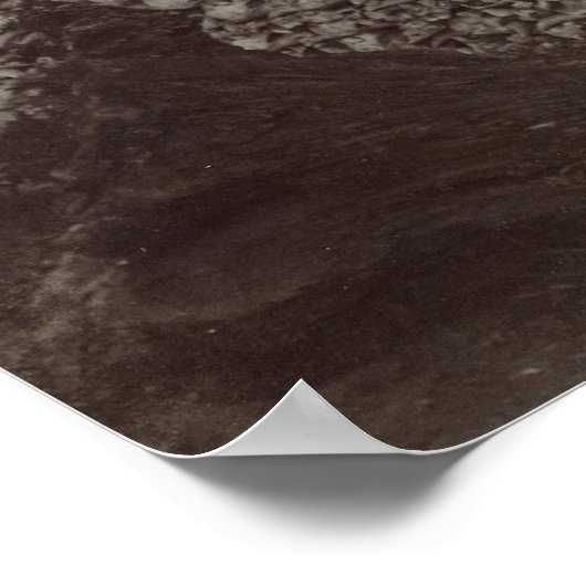 American Bison Skulls to be Ground for Fertilizer Poster (Hoek)