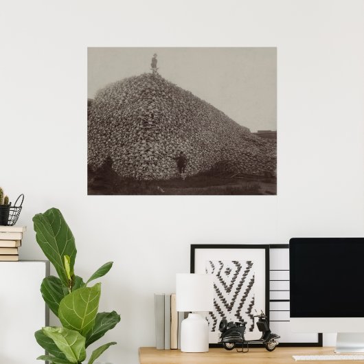 American Bison Skulls to be Ground for Fertilizer Poster (Thuiskantoor)