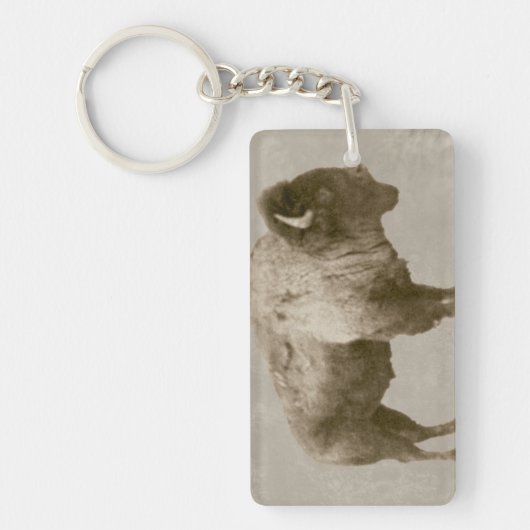 American Bison Sleutelhanger (Voorkant)
