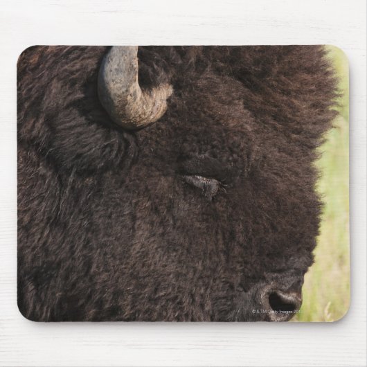 American Bison, South Dakota Muismat (Voorkant)