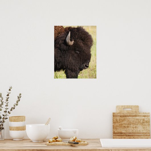 American Bison, South Dakota Poster (Keuken)