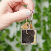 American Bison, South Dakota Sleutelhanger (Hand)