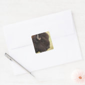 American Bison, South Dakota Vierkante Sticker (Envelop)