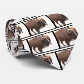 American Bison Stropdas (Opgerold)
