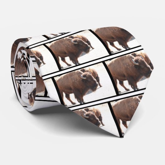 American Bison Stropdas (Opgerold)
