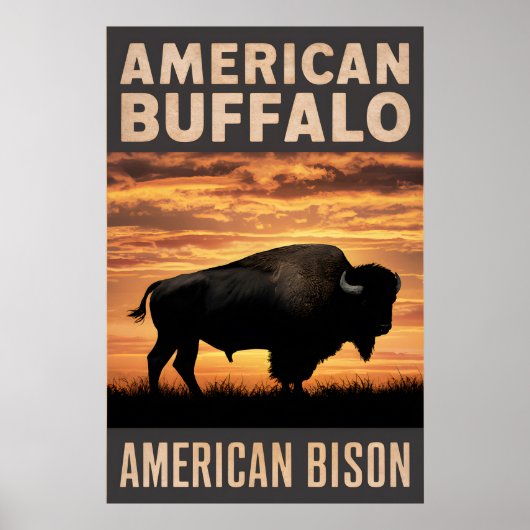 American Bison Sunset Silhouet Poster (Voorkant)