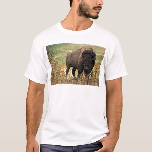 American Bison T-shirt (Voorkant)