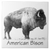American Bison Tegeltje (Voorkant)