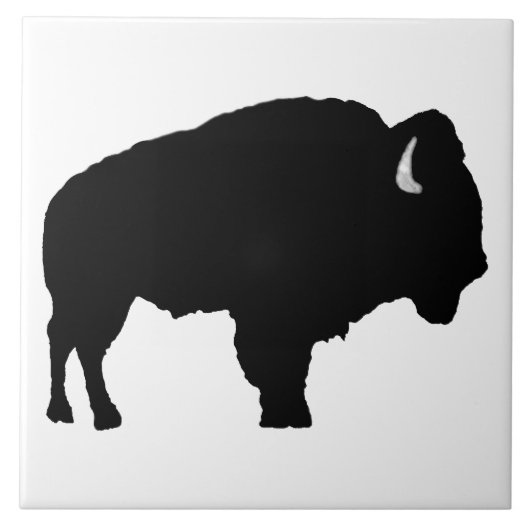 American Bison Tegeltje (Voorkant)