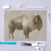 American Bison Tissuepapier (Craft)
