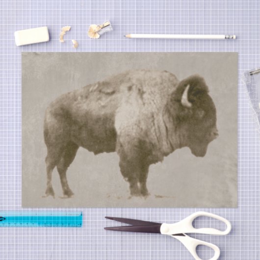 American Bison Tissuepapier (Craft)