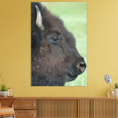 American Bison Up Close - Wildlife fotografie Canvas Afdruk (Insitu (Woonkamer))