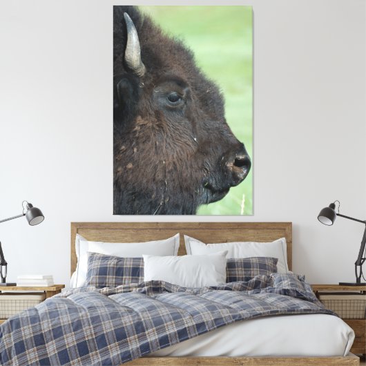 American Bison Up Close - Wildlife fotografie Canvas Afdruk (Insitu (Slaapkamer))