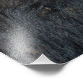 American Bison Up Close - Wildlife fotografie Foto Afdruk (Hoek)