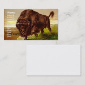 American Bison Visitekaartje (Voorkant / Achterkant)