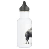 American Bison Waterfles (Links)