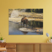 American Bison Yellowstone Wildlife Fotografie Canvas Afdruk (Insitu (Woonkamer))