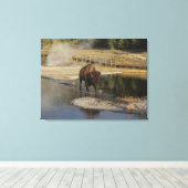 American Bison Yellowstone Wildlife Fotografie Canvas Afdruk (Insitu (Houten vloer))