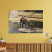 American Bison Yellowstone Wildlife Fotografie Canvas Afdruk (Insitu (Woonkamer))