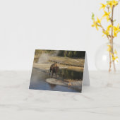 American Bison Yellowstone Wildlife Fotografie Kaart (Gele Bloem)