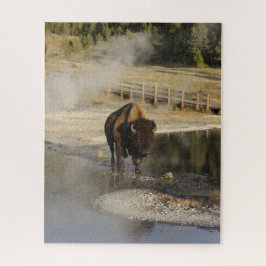 American Bison Yellowstone Wildlife Fotografie Legpuzzel