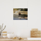 American Bison Yellowstone Wildlife Fotografie Poster (Keuken)