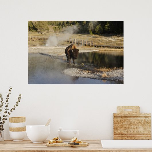 American Bison Yellowstone Wildlife Fotografie Poster (Keuken)