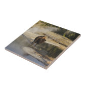 American Bison Yellowstone Wildlife Fotografie Tegeltje (Zijkant)