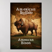 American Bizon op een kaart Poster (Voorkant)