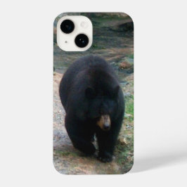 American Black Bear iPhone Case iPhone 14 Hoesje