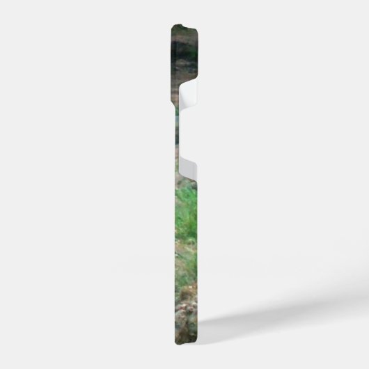 American Black Bear iPhone Case iPhone Hoesje (Linkerkant)